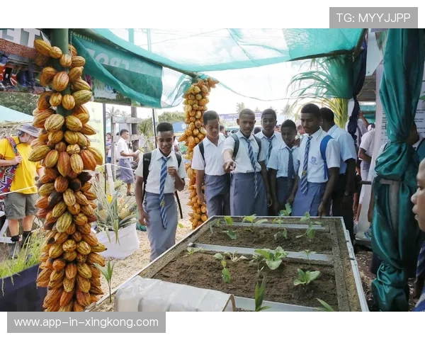 斐济技术水平提升，全队竞争欲望明显增加