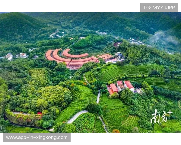 梅州客家外围远射冷不防袭来，门前出现险情