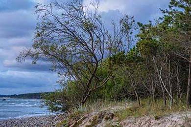 Aster季后赛对阵形势分析，季后赛阵容