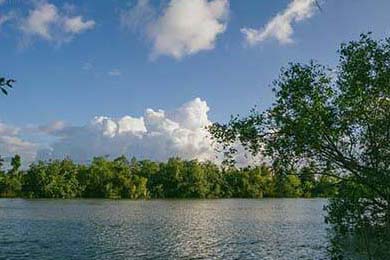 APEX英雄 战队教练团队调整阵容，apex 职业队